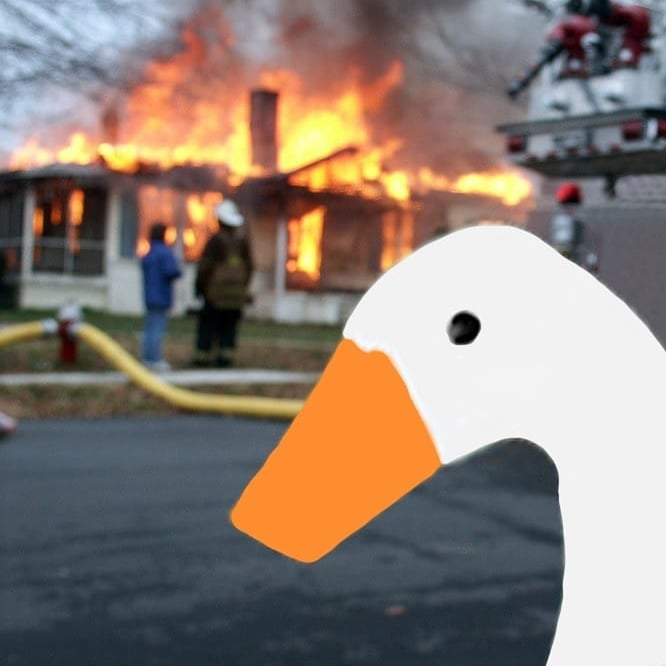 goose menacingly staring into camera in front of burning house innocently